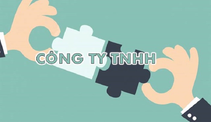Công ty TNHH 2 thành viên