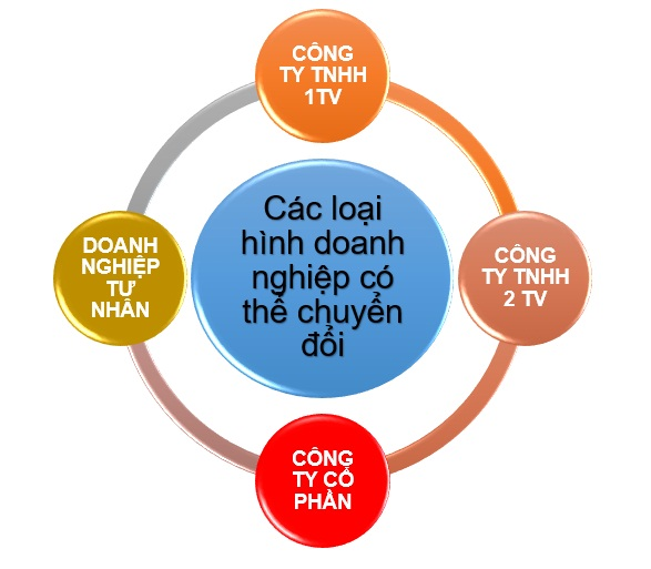 Doanh nghiệp có thể lựa chọn một hình thức chuyển đổi phù hợp với định hướng