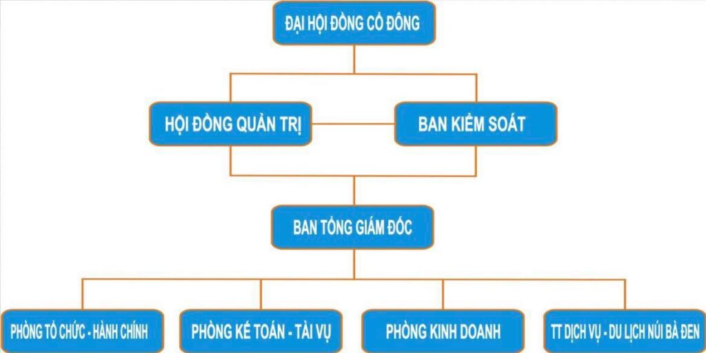 Mô hình thứ nhất gồm: Đại hội đồng cổ đông, Hội đồng quản trị, Tổng giám đốc hoặc Giám đốc và Ban kiểm soát