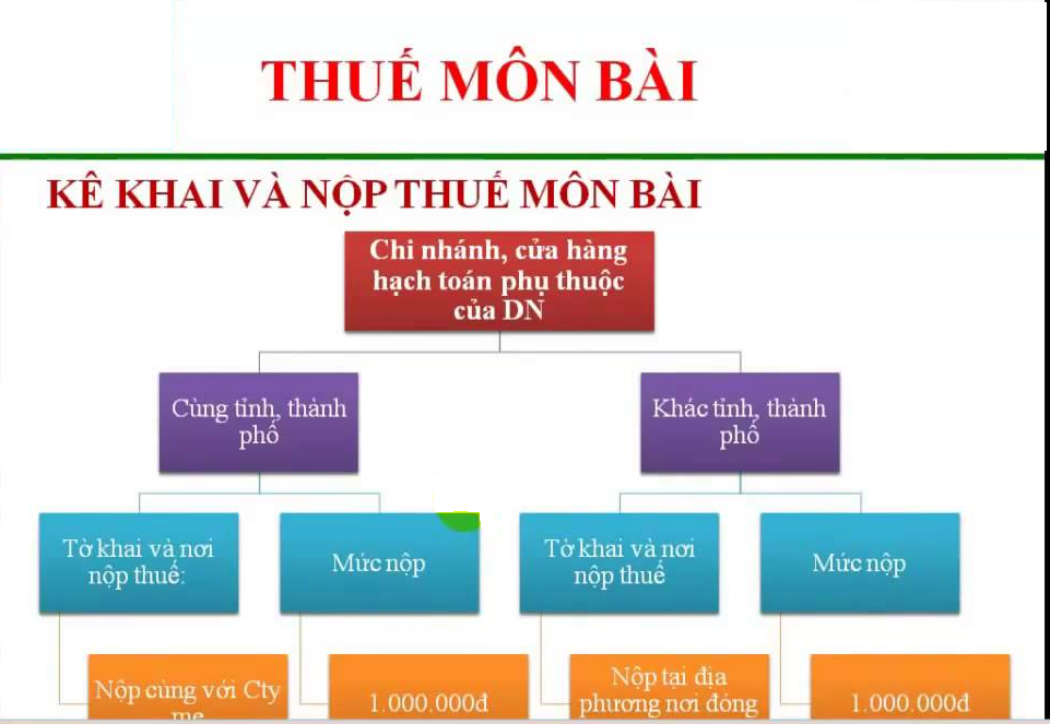 Sau Khi đã Thành Lập Văn Phòng đại Diện, Doanh Nghiệp Cần Phải Nộp Thuế Môn Bài