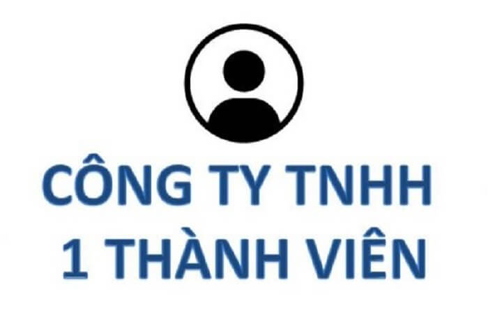 Công ty TNHH 1 thành viên là đơn vị do một cá nhân hoặc một tổ chức làm chủ sở hữu