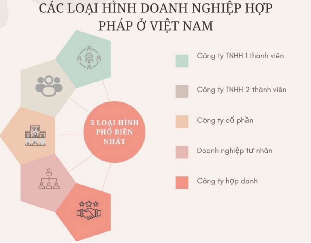Có 5 loại hình doanh nghiệp chính ở Việt Nam